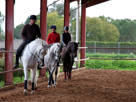 Classical Dressage Training